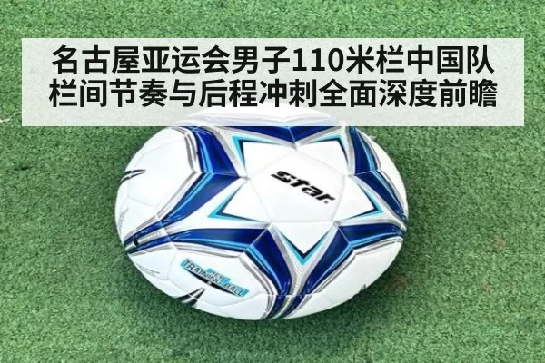 名古屋亚运会男子110米栏中国队栏间节奏与后程冲刺全面深度前瞻