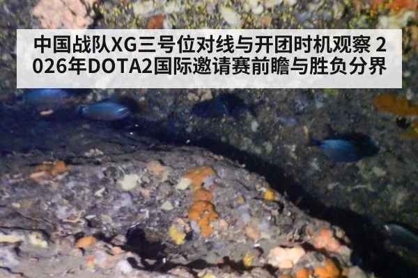 中国战队XG三号位对线与开团时机观察 2026年DOTA2国际邀请赛前瞻与胜负分界