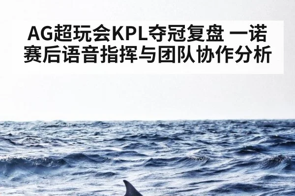 AG超玩会KPL夺冠复盘 一诺赛后语音指挥与团队协作分析